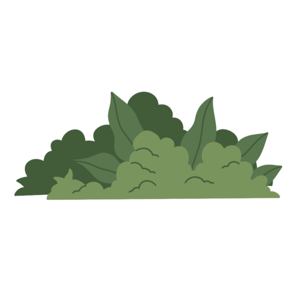 bush with flower illustration png