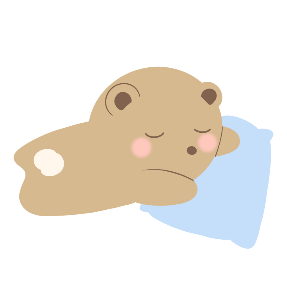 a cartoon bear sleeping on a pillow png