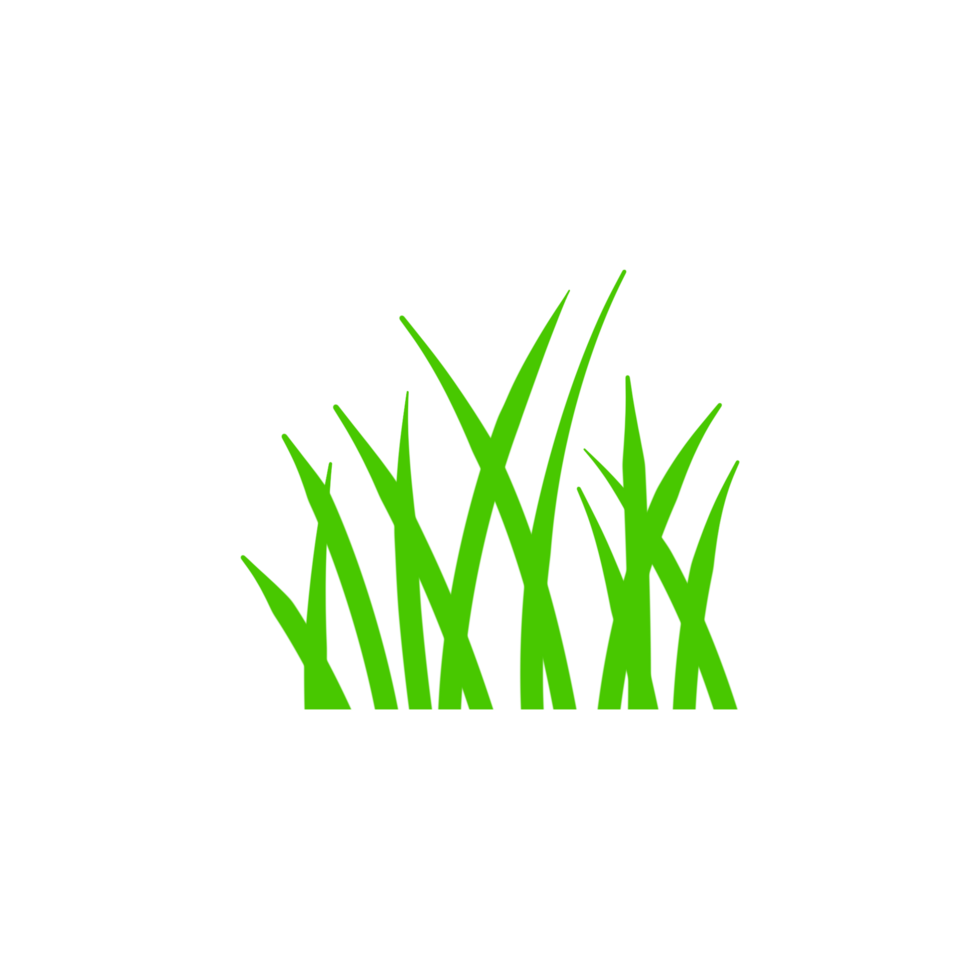 Green grass icon Isolated on transparent background png