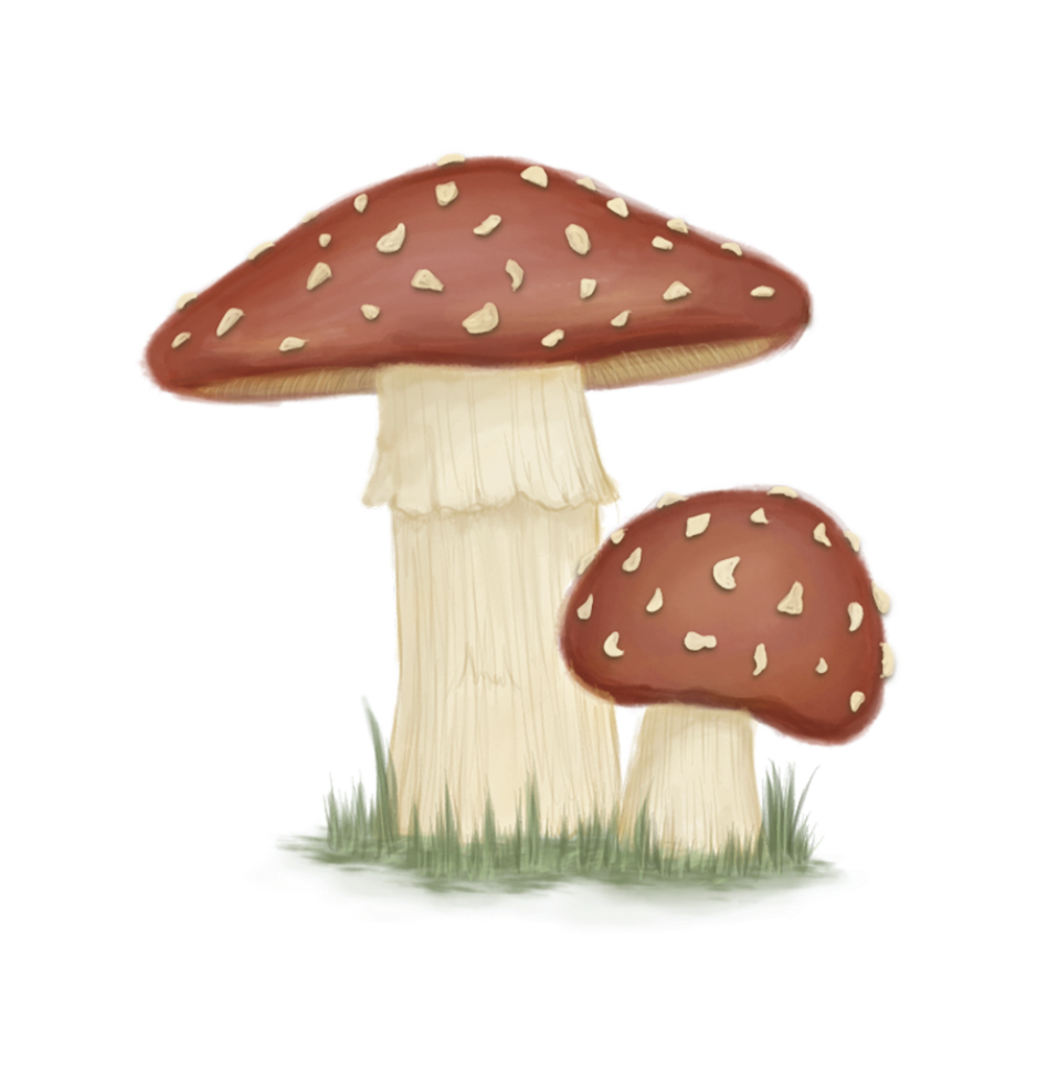 Red mushrooms with grass illustration png