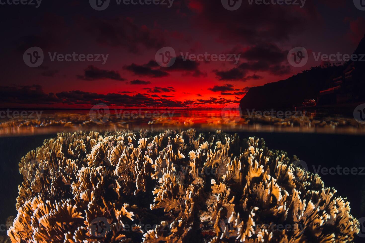 Seascape with coral underwater and colorful sunrise, split view over-under water surface photo