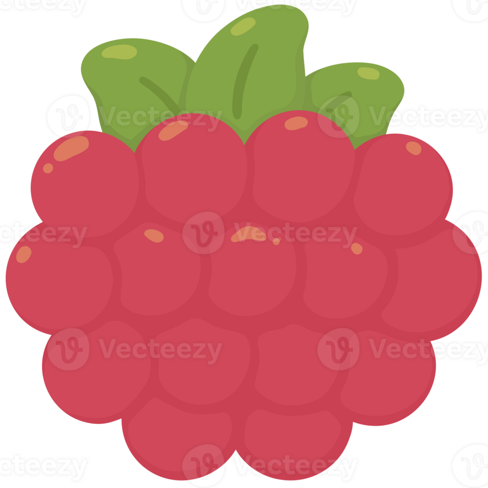 Red raspberry fruit png