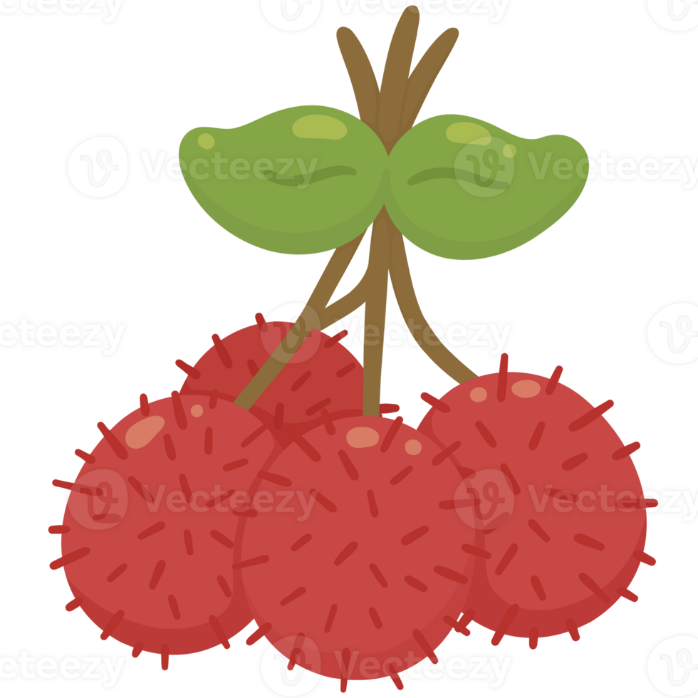 Red rambutan cartoon png