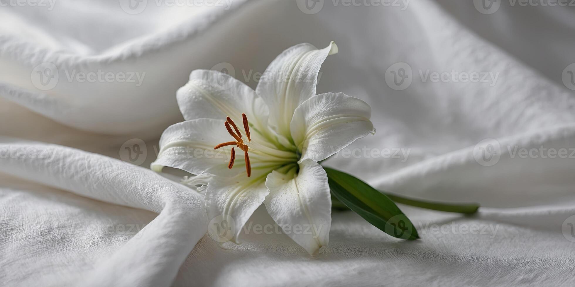 Delicate white lily on a white piece of fabric. photo