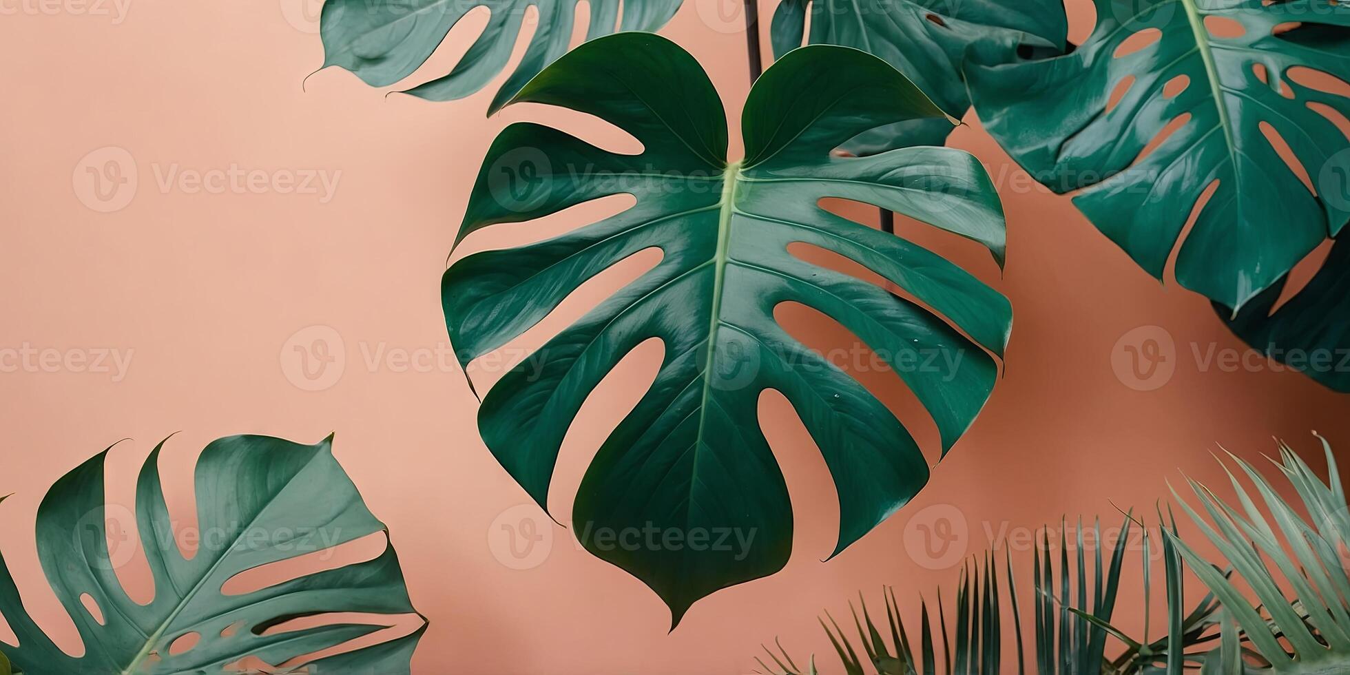 Close-up of several overlapping turquoise and peach tropical monstera leaves. photo