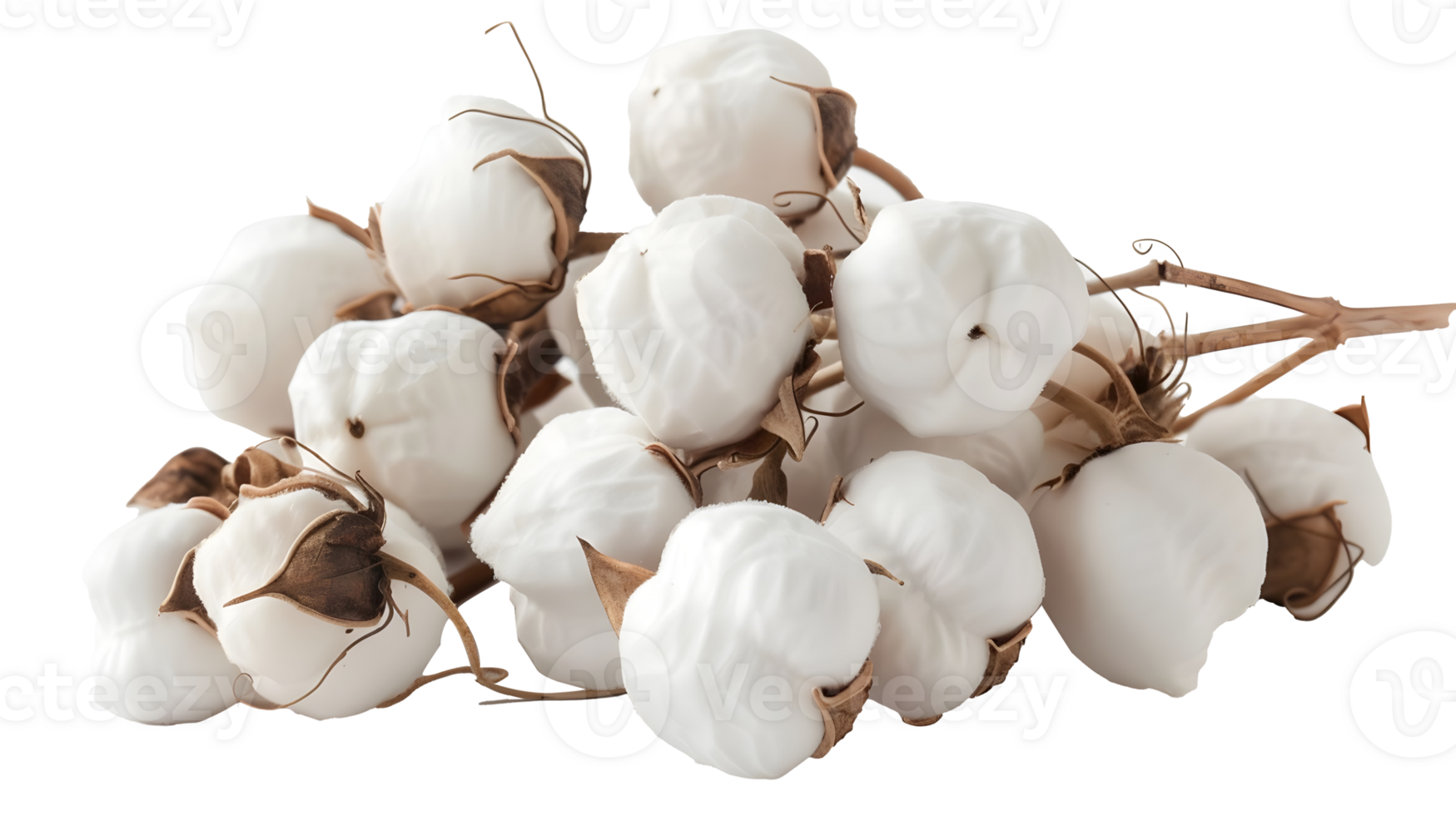 Al generated cotton bolls isolated on transparent background png