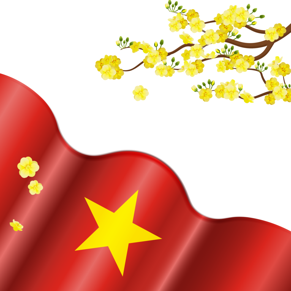 Yellow Apricot blossom and the flag of Vietnam png