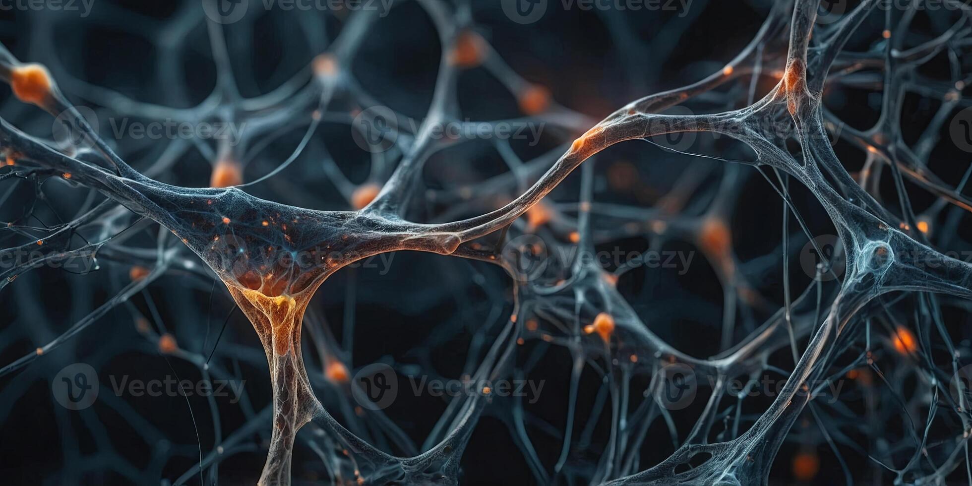 Macro presentation of neural network in the human nervous system. photo