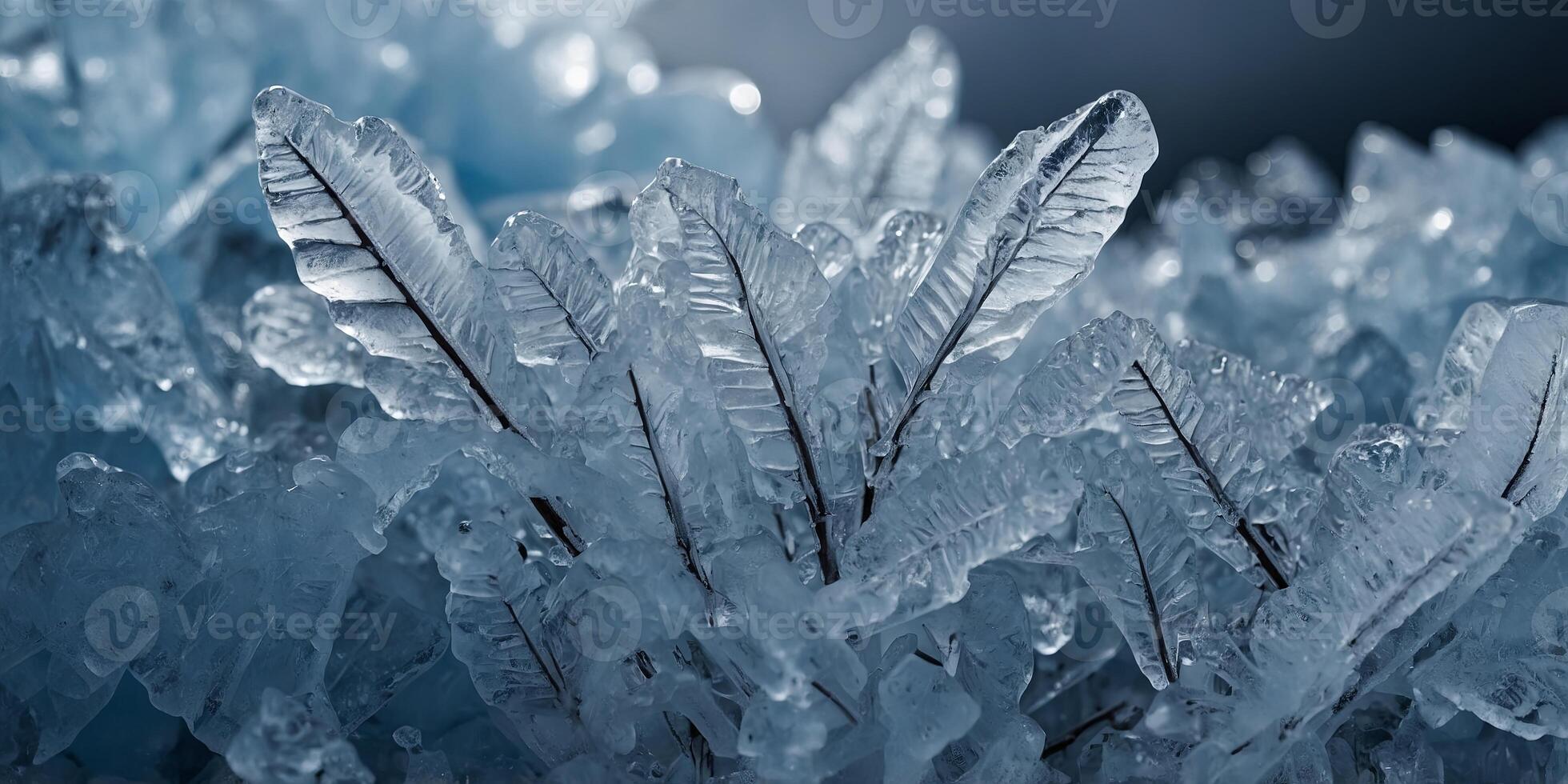 Ice formations created by a meteorological process known as hard rime. photo