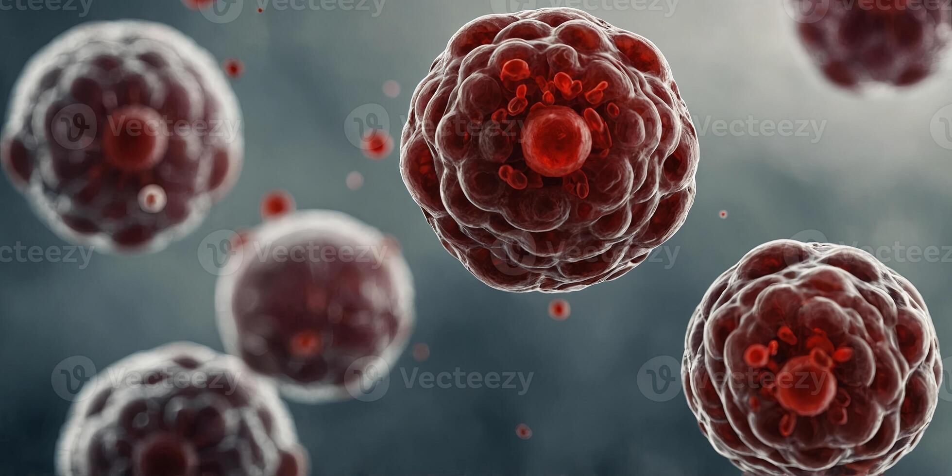 Macro blood cells in human body, anatomy poster. photo