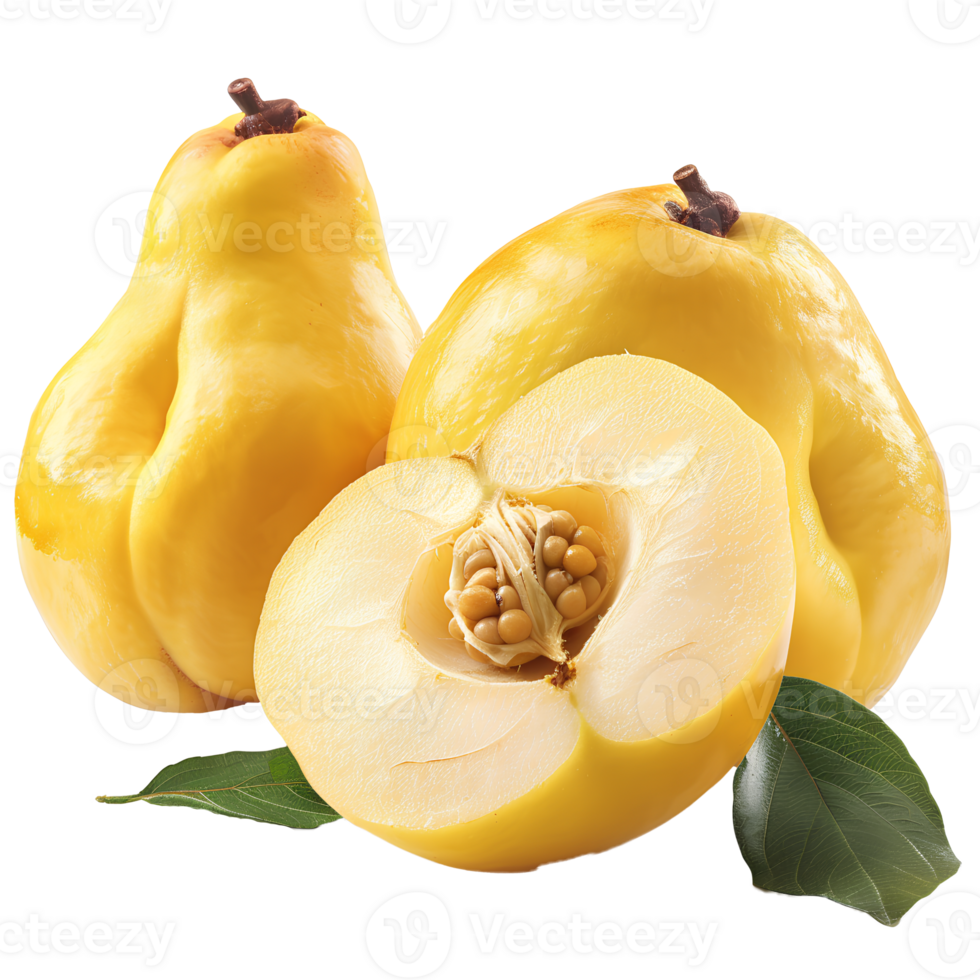 Quince fruit . Quince fruit isolated. Quince fruit flat lay . Autumn fruit quince . Fall fruit quince isolated png
