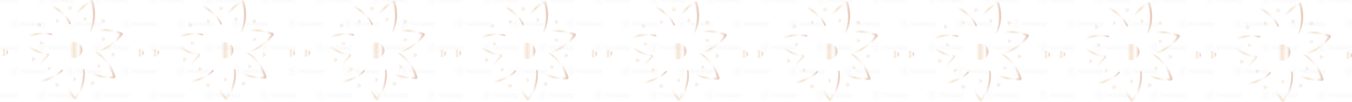 Flower line border illustration on transparent background. png