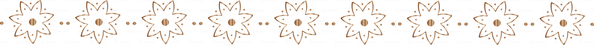 Flower line border illustration on transparent background. png