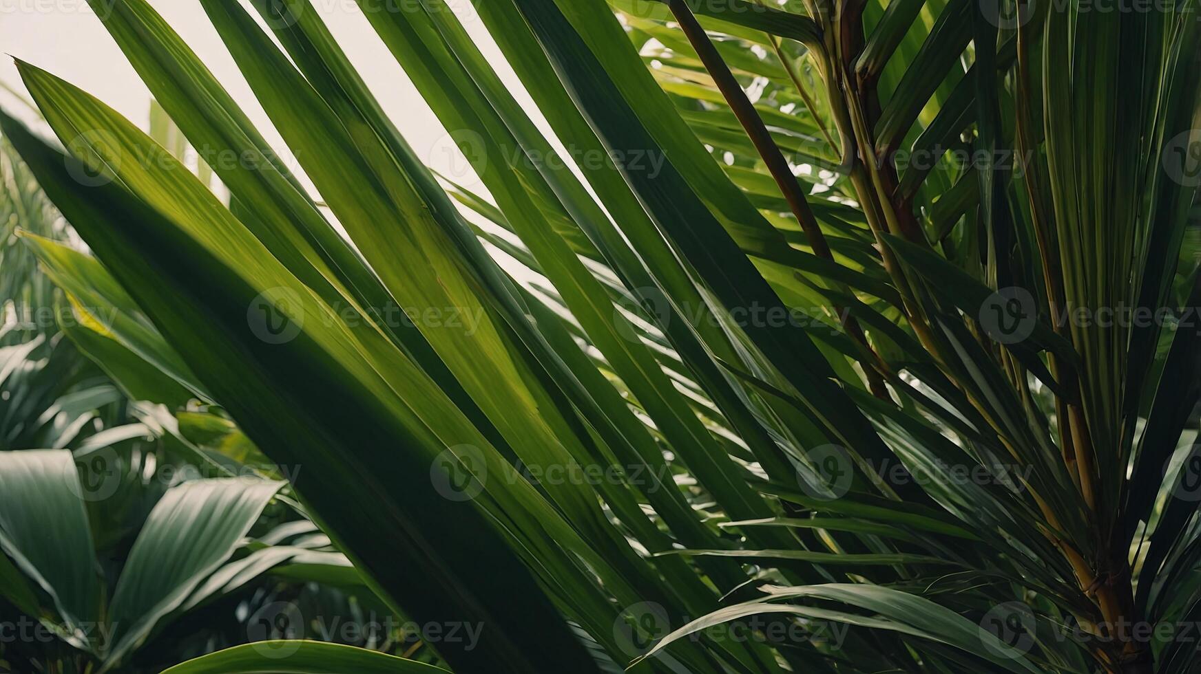 Simple green background decorated with a palm leaf. photo