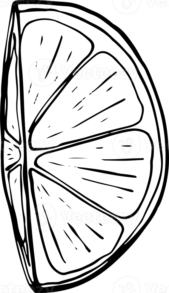 Lemon fresh juice mint summer hand drawn scribble doodle line art sketch illustration png