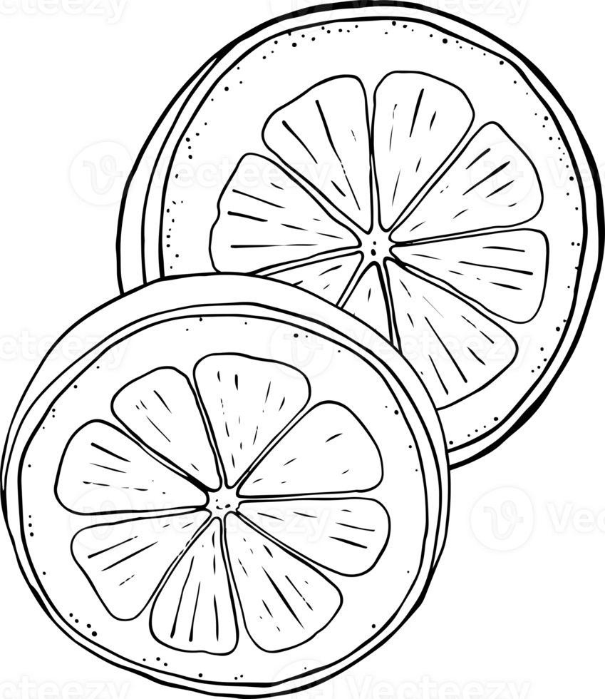 Lemon fresh juice mint summer hand drawn scribble doodle line art sketch illustration png