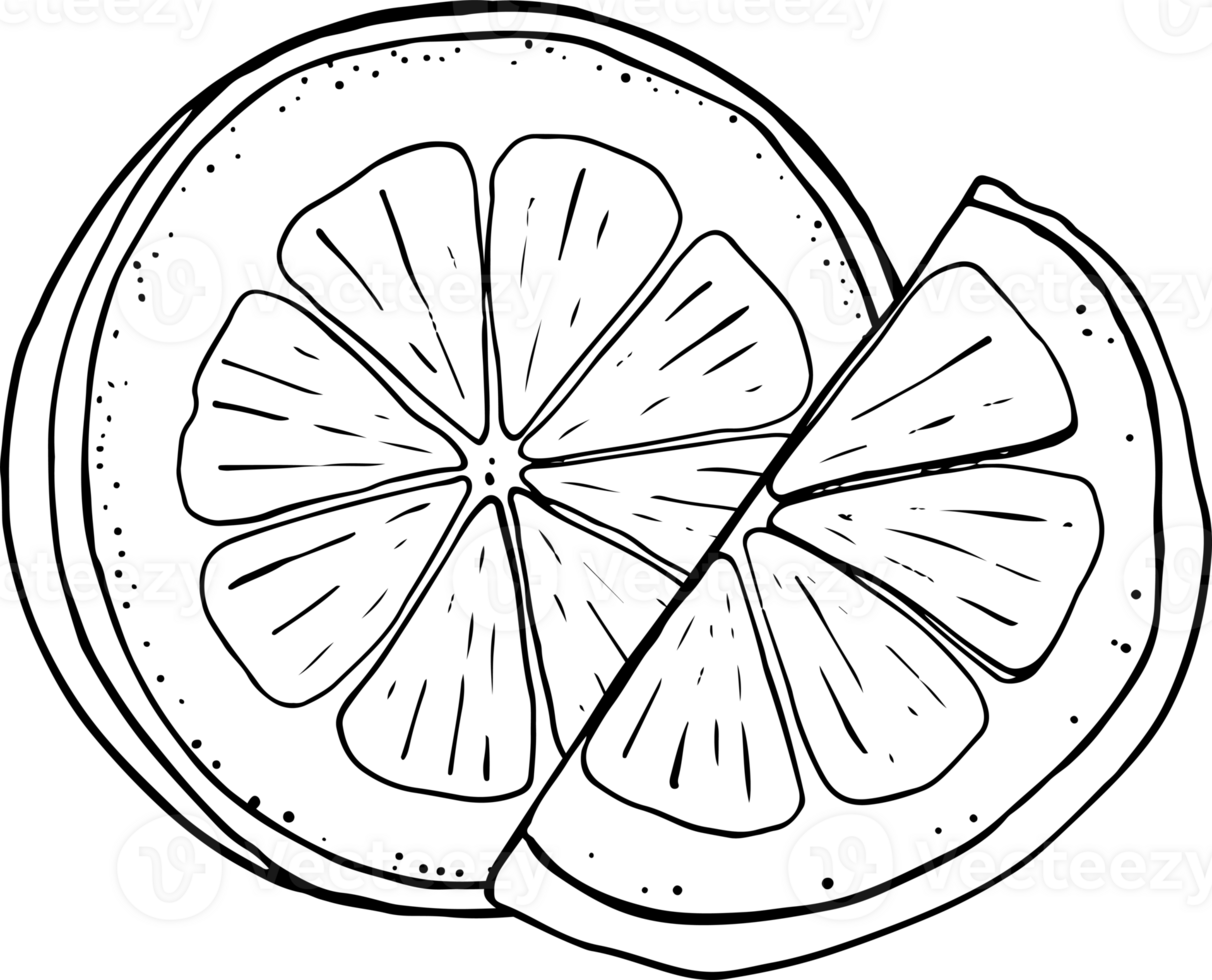 Lemon fresh juice mint summer hand drawn scribble doodle line art sketch illustration png