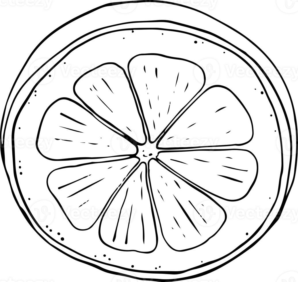 Lemon fresh juice mint summer hand drawn scribble doodle line art sketch illustration png