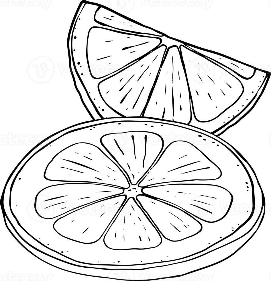 Lemon fresh juice mint summer hand drawn scribble doodle line art sketch illustration png