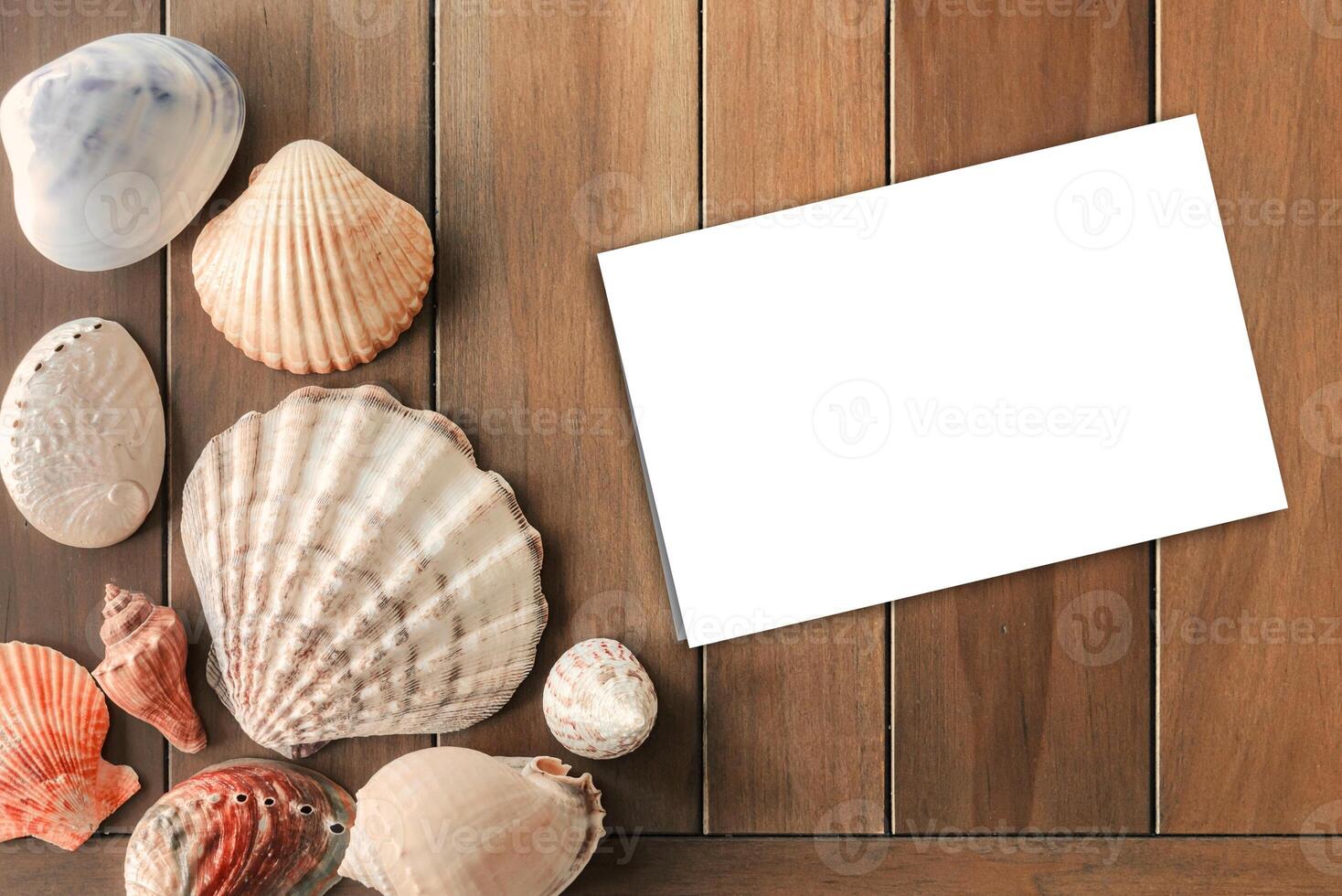 Top view of different sea shells with empty white note paper on wooden background. Summer time concept photo