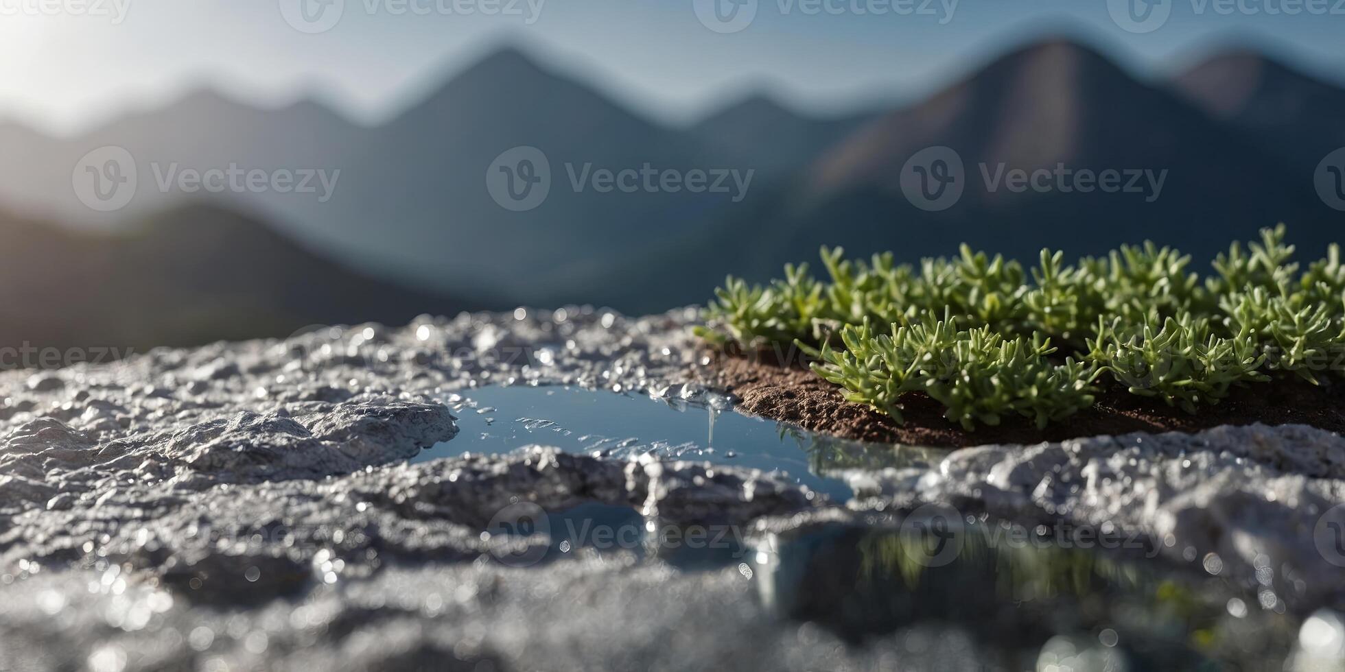 a miniature landscape showing the changes of global warming on a silver coin. photo