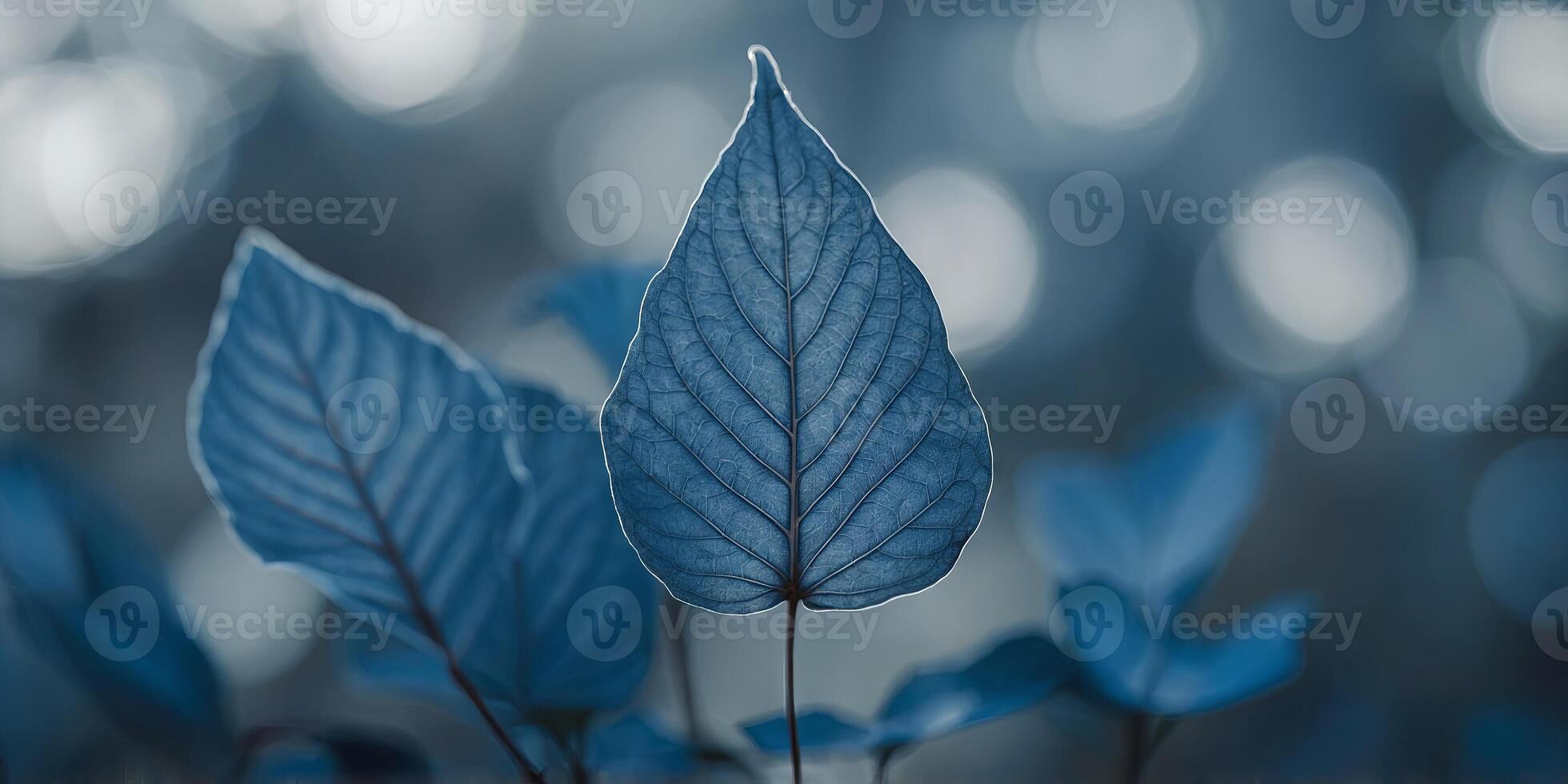 a blue leaf with a slightly blurred background of overlapping leaves. photo