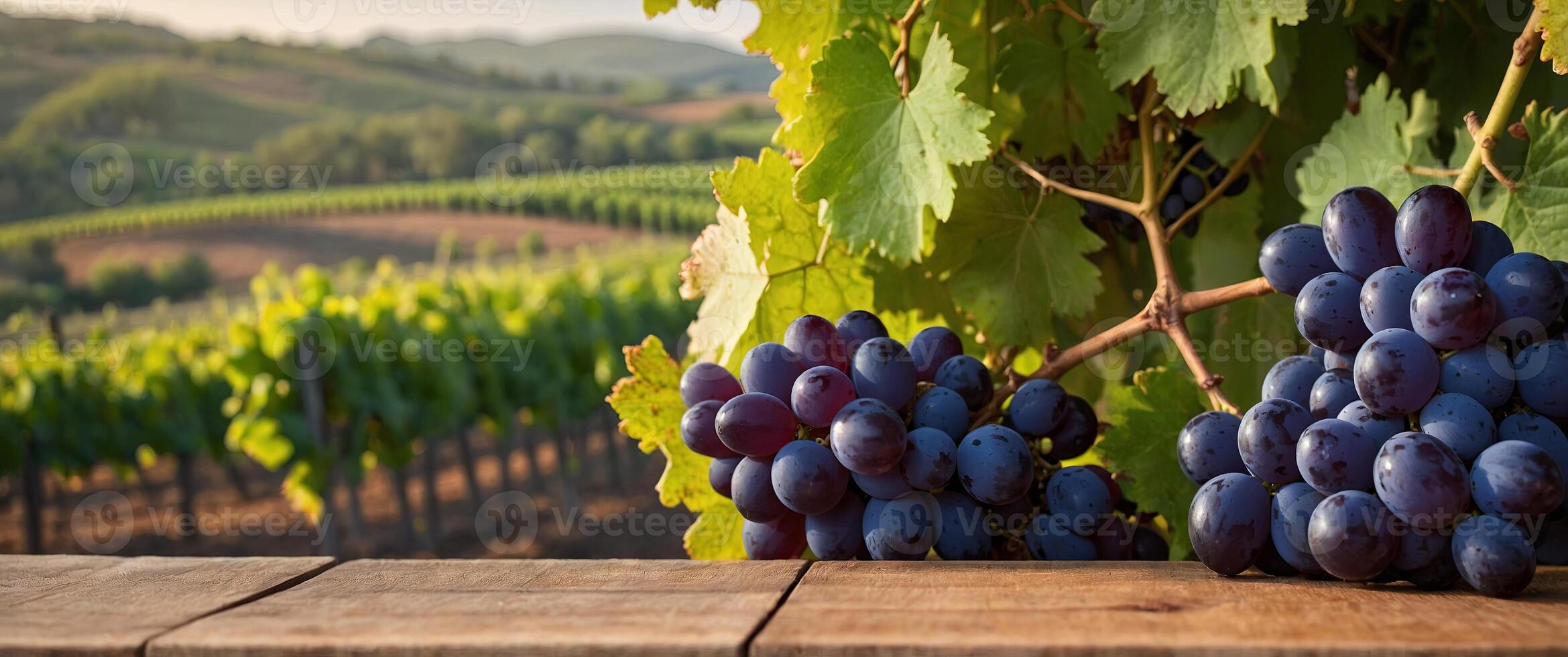 wooden table top with grapes for product display montages with blurred rows of grape bushes background. photo