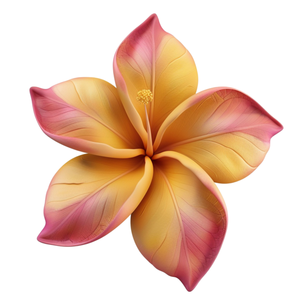 Stunning Flower With Yellow and Pink Petals on Clear Transparent Background png