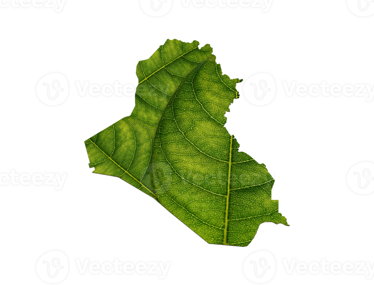 Iraq map made of green leaves ecology concept png