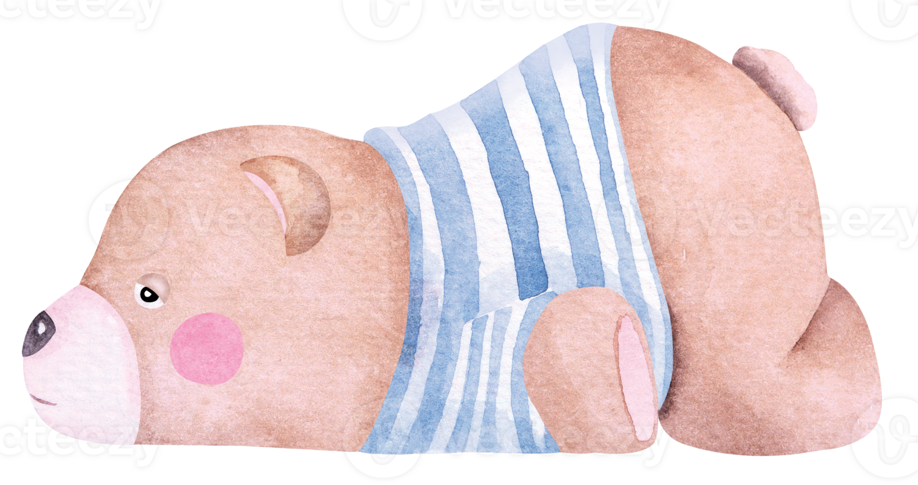 Lazy bear cartoon.Teddy bear brown sleeping.Cute animal.Hand draw with watercolor.Suitable for kids. png