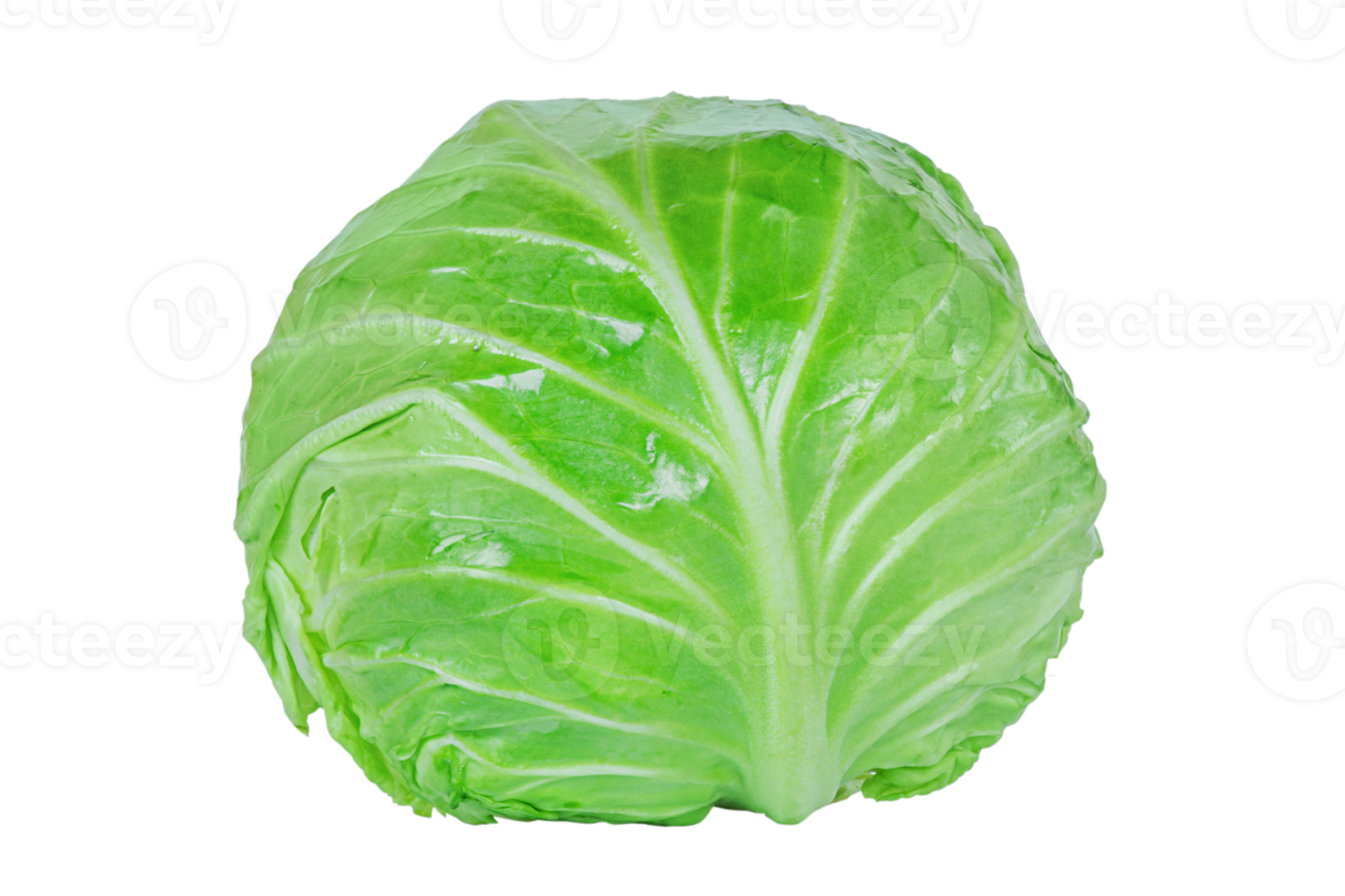 Young green cabbage isolated. Healthy food, cabbage vegetable. png