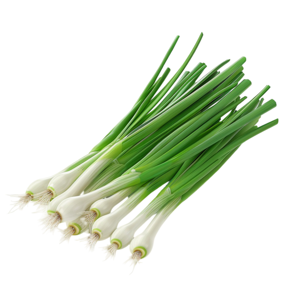 Bunch of Onions png