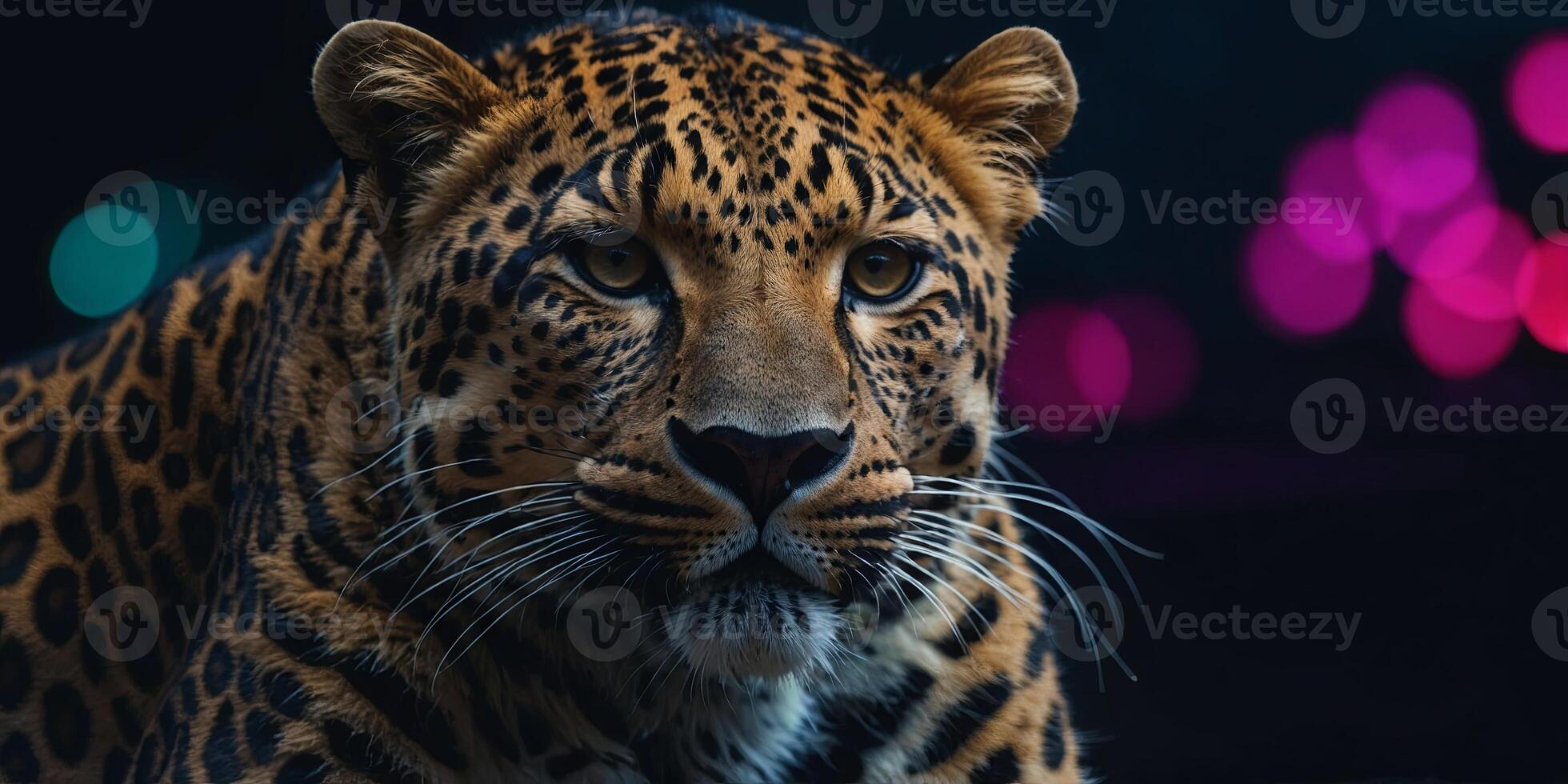 A dramatic portrayal of a leopard heart, with a bold mix of contrasting neon and dark shades,. photo