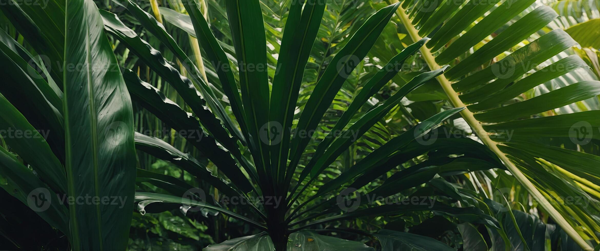 Tropical Leaf Frame on Vibrant Green Natural Background. photo