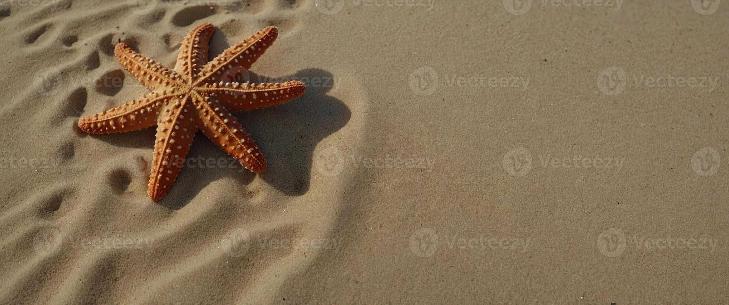 Top view sand beach holiday background with starfish, Summer holiday vacation concept. photo