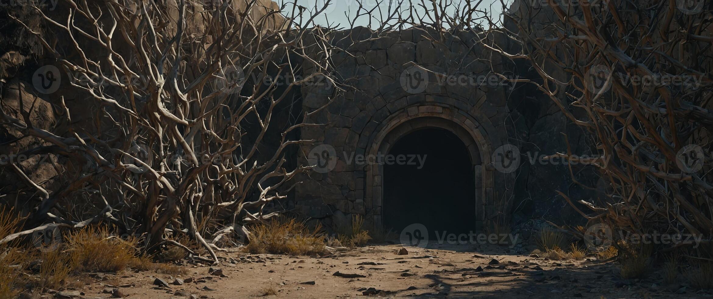 thorn and dry branches portal dry entrance barren path. photo
