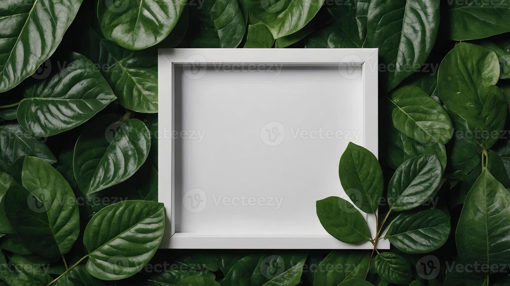 Top view flat lay white square frame on green leaves background. photo