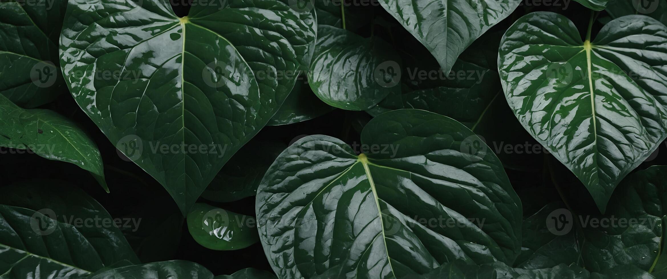 surface made of leaves, with its delicate veins and vibrant green color. photo