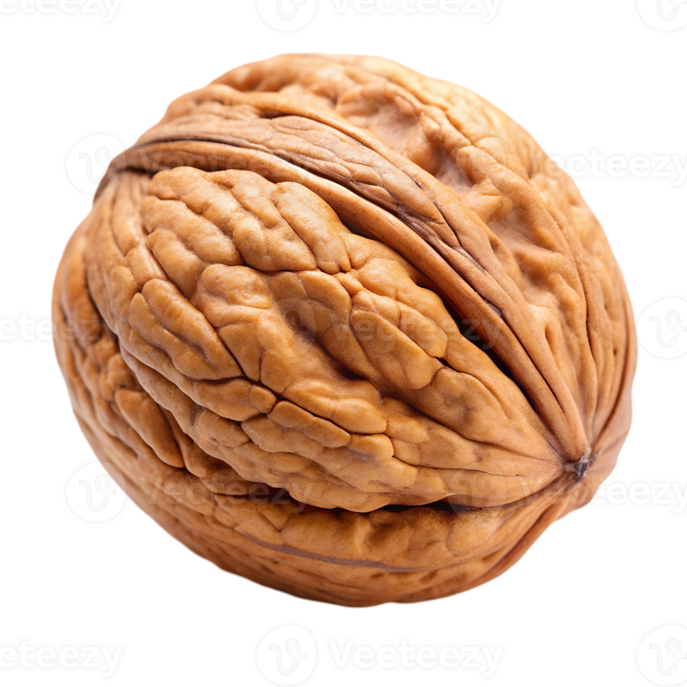 Walnut Icon Illustration png
