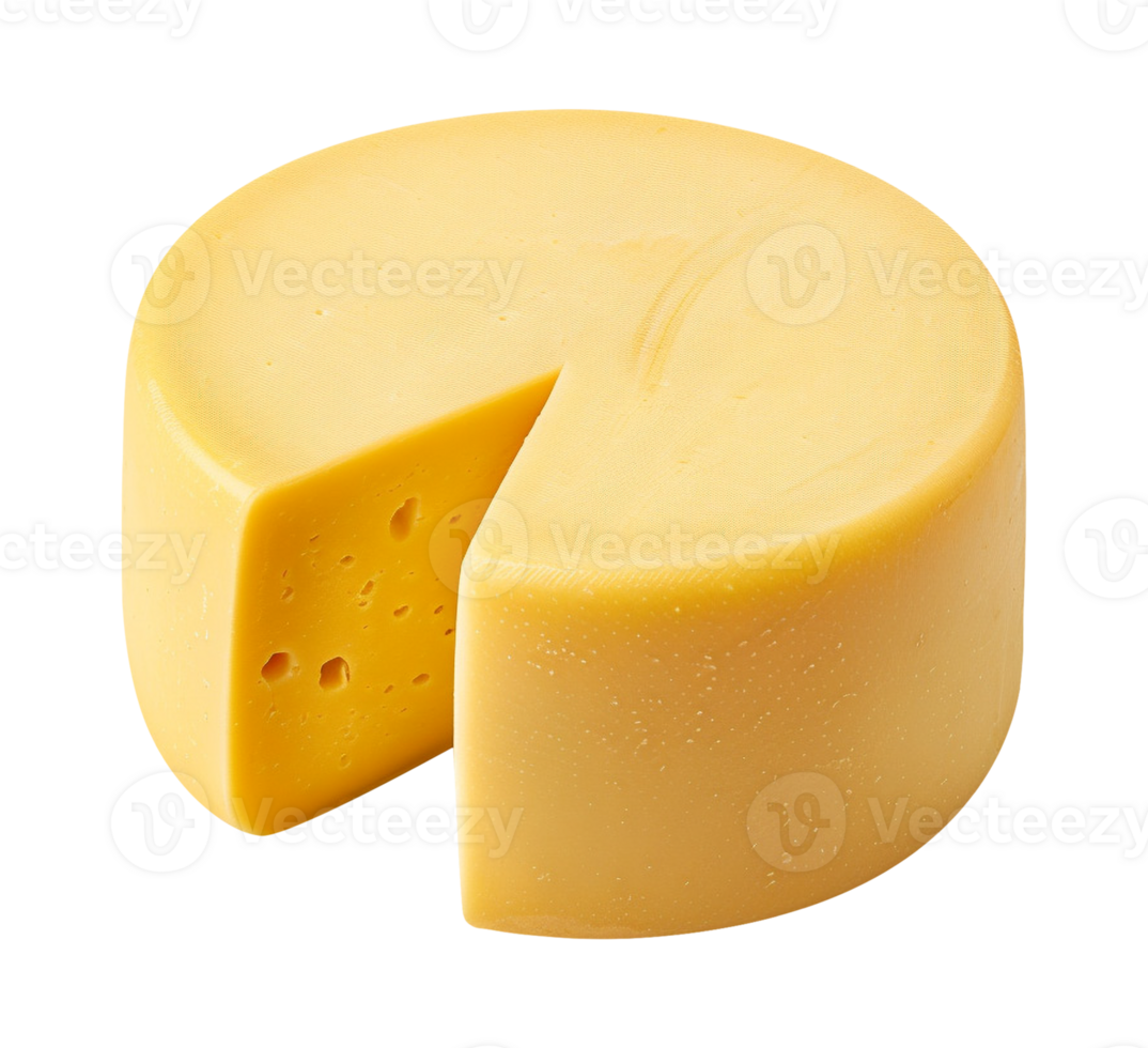 rounded cheese isolated png