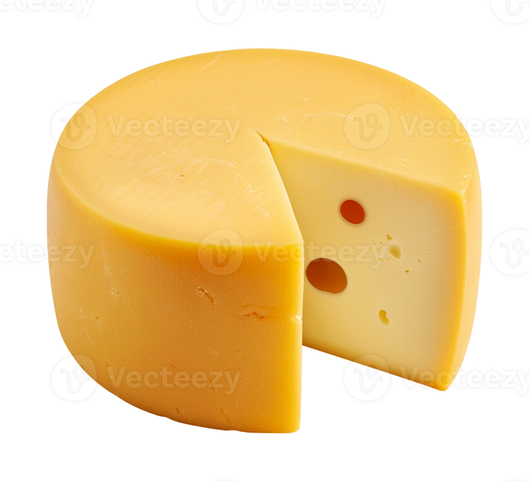 rounded cheese isolated png