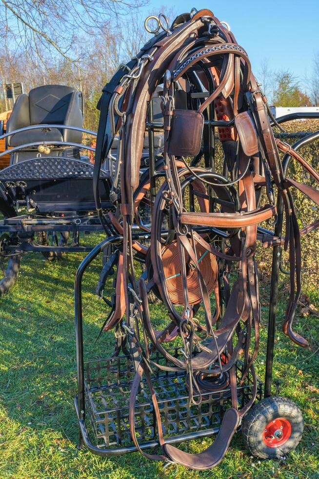 Hasselt. Limburg Belgium 19-03-2022. A range of horse leather goods. Leather harnesses for riders for sale at farmers market. Hand made horse-drawn carriage equipment for horses photo