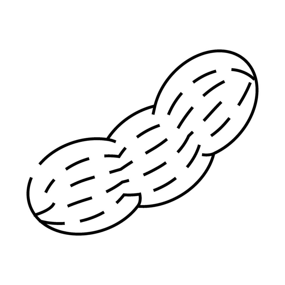 peanut nut line icon illustration vector