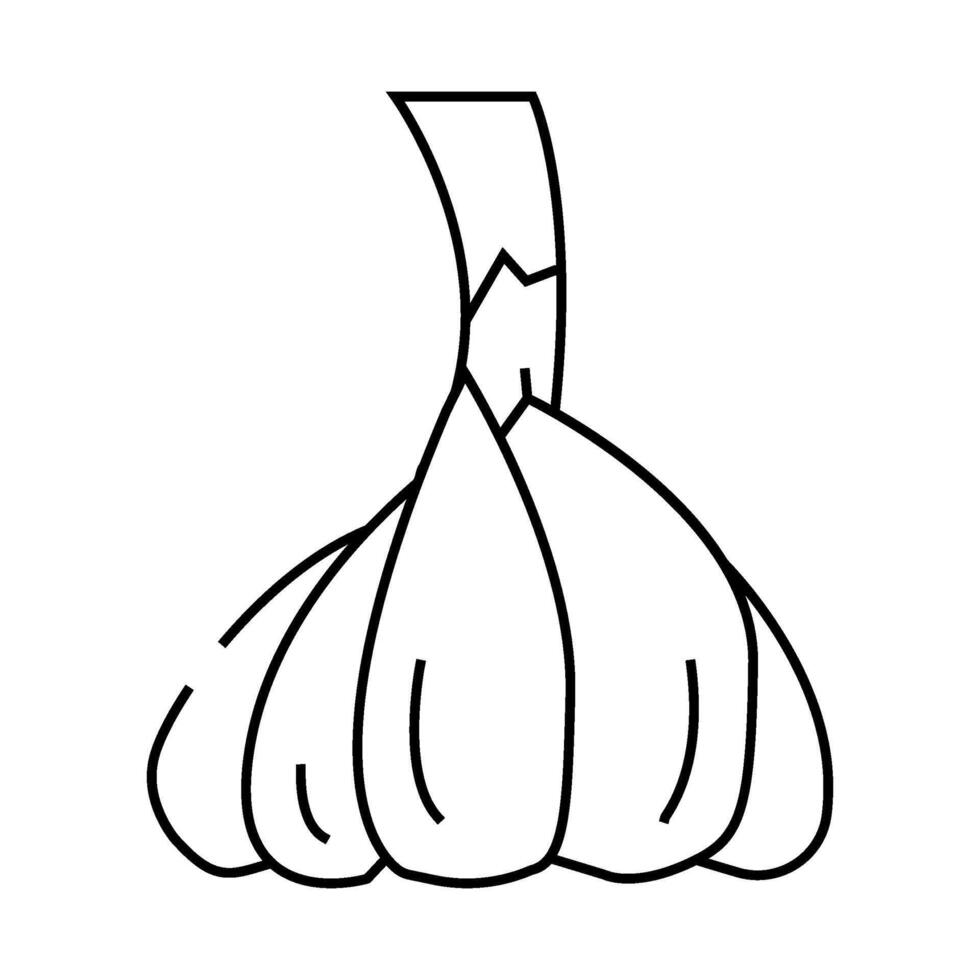 head of garlic line icon illustration vector