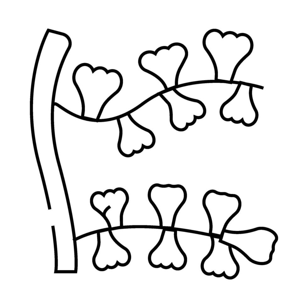 sargassum horneri seaweed line icon illustration vector