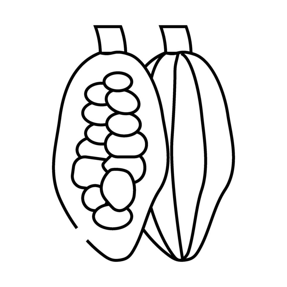 cocoa beans line icon illustration vector