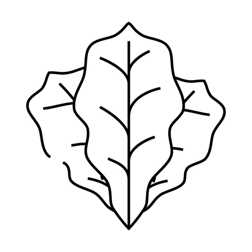 spinach leaves line icon illustration vector