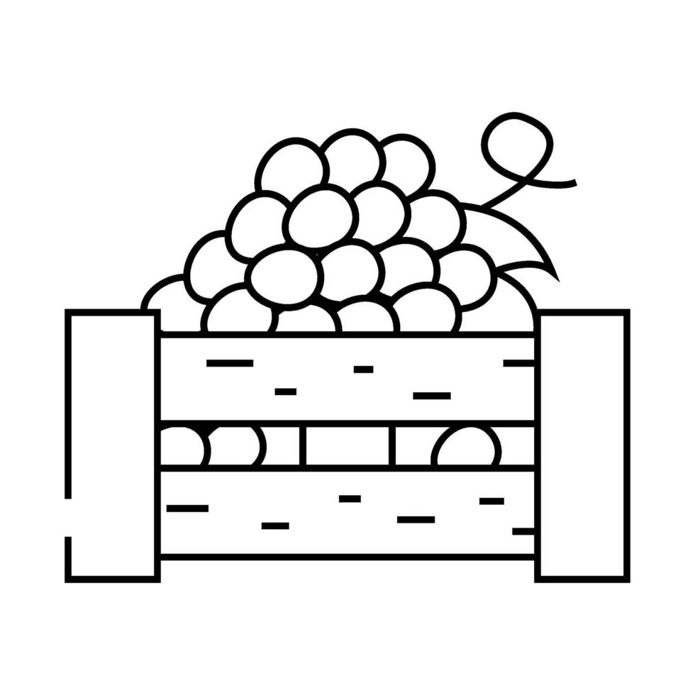 box of grapes line icon illustration vector