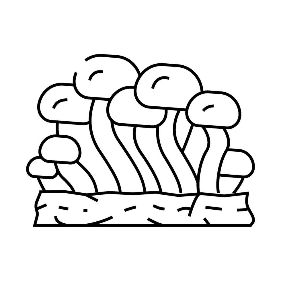 shimeji mushroom line icon illustration vector