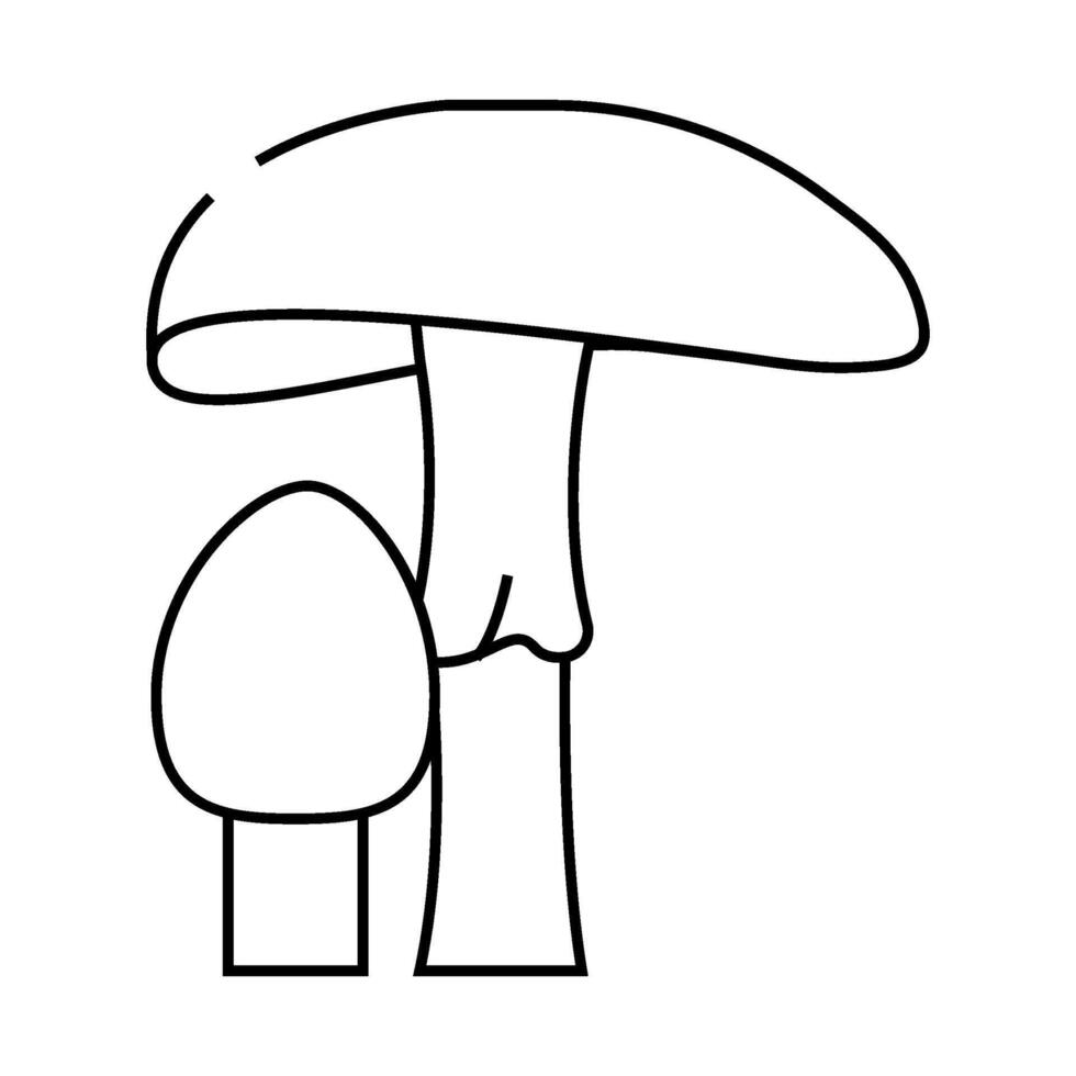 amanita mushroom line icon illustration vector
